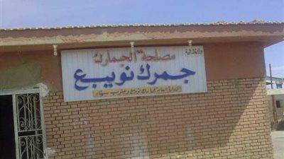 جمارك نويبع تحبط محاولتي تهريب كمية كبيرة من العاج والنقد الأجنبي