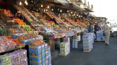 استقرار عام فى حالة أسعار الأسماك