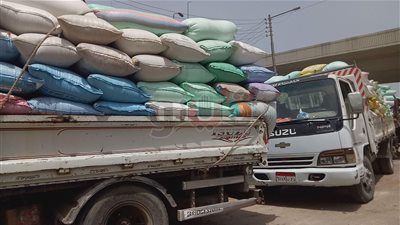طوابير أمام شون الدقهلية.. ووكيل الزراعة: استقبلنا 275 ألف طن قمح