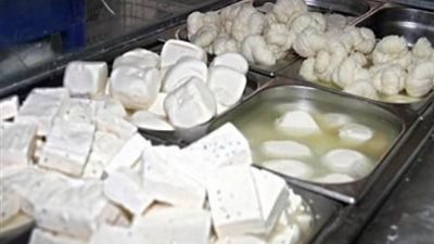 ضبط 64 طن ملح وجبن غير صالحة للاستخدام الآدمي في الدقهلية