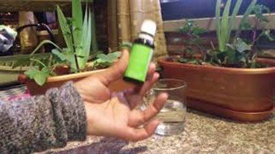 فوائد زيت شجرة الشاي لجمالك (فيديو)