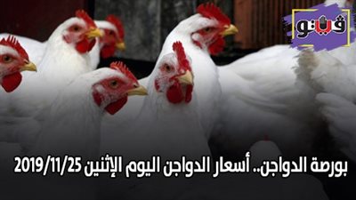 بورصة الدواجن.. أسعار الدواجن اليوم الإثنين 2019/11/25