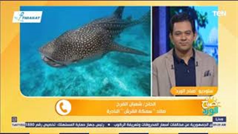 فيتو