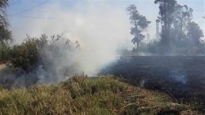 انتهاء موسم نوبات تلوث الهواء الحادة.. وزيرة البيئة تؤكد نجاح خطة القضاء على السحابة السوداء.. خطة تنسيقية مع وزراء الزراعة والتنمية المحلية والداخلية.. والإنذار المبكر سبب نجاح الخطة