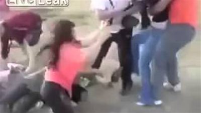 بالفيديو.. مشاجرة بالأيدي بين مجموعة سيدات في حفل زفاف