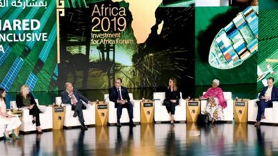 خبير اقتصادي: منتدى أفريقيا فرصة لتحفيز الاستثمار في مصر