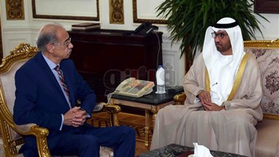 شريف إسماعيل يبحث التعاون مع وزير الدولة الإماراتي