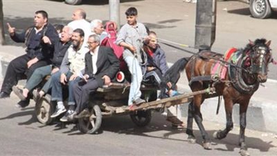 محافظ الشرقية يقرر منع سير «التوك توك والتروسيكل والكارو» بالزقازيق