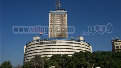 رئيسة تحرير 