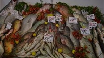 قائمة أسعار أسماك الشركة المصرية بمعرض أهلا رمضان