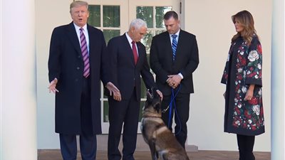 ترامب يستقبل الكلب كونان المشارك في تصفية أبوبكر البغدادي