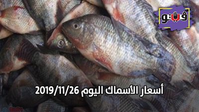 اسعار الأسماك اليوم 2019/11/26.. وكيلو البلطي بـ26 جنيها