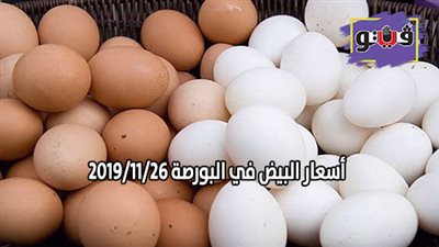 اسعار البيض في البورصة 2019/11/26