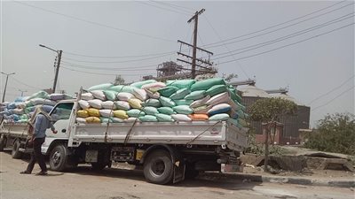 وكيل زراعة الدقهلية: الشون والصوامع استقبلت 180 ألفا و831 طن قمح