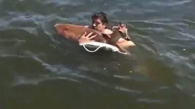 رجل ينتشل غزالة تغرق من بحيرة (فيديو وصور)