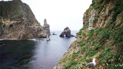 سيول تحتج على مقطع فيديو نشرته طوكيو بشأن الجزر المتنازع عليها