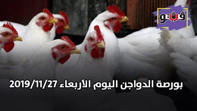 بورصة الدواجن | أسعار الدواجن اليوم الأربعاء 2019/11/27