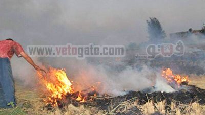 محافظ الغربية يعلن حملة التصدى لظاهرة حرق قش الأرز