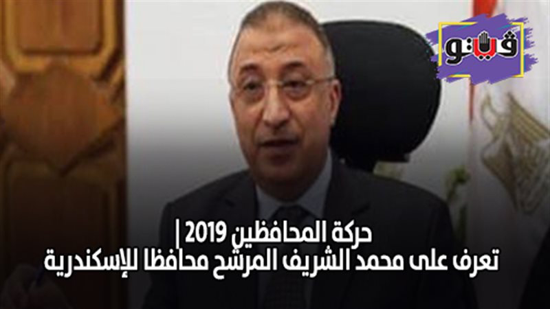 حركة المحافظين 2019