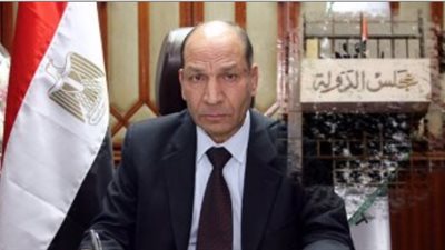 أمين عام مجلس الدولة: عدد القضايا تخطى الملايين