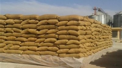توريد 110 آلاف طن قمح للشون والصوامع في قنا