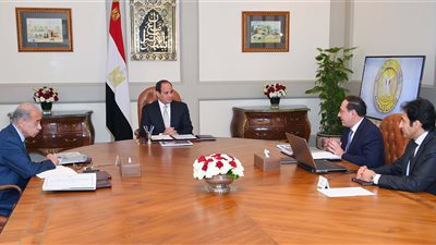الملا يستعرض مع السيسي ملف تأهيل مصر مركزا إقليميا للطاقة