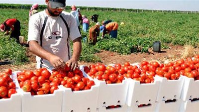 وزير الري: مصر تستورد منتجات زراعية تعادل 34 مليار متر مكعب من المياه