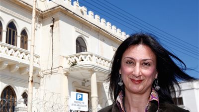 شملت مصر.. قصة صحفية كشفت فسادا عابر للقارات وتفرق دمها بين الحيتان