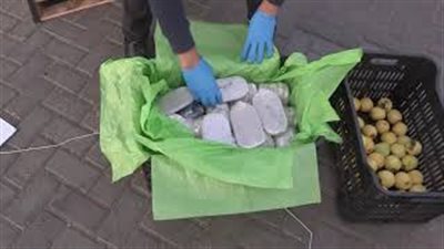 لحظة إحباط تهريب 3 أطنان حشيش مخبأة في شحنة تفاح بميناء بورسعيد (فيديو)