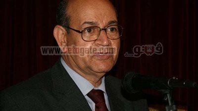 حملة مكبرة لرفع الإشغالات والمخالفات بالجيزة