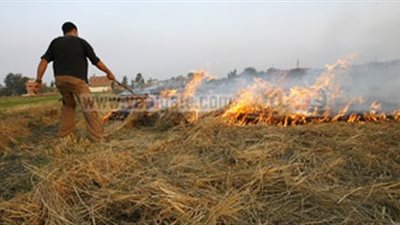 ظهور السحابة السوداء نتيجة حرق قش الأرز بسمنود