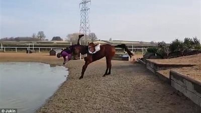 لحظة سقوط امرأة من ظهر حصان في بحيرة (فيديو)
