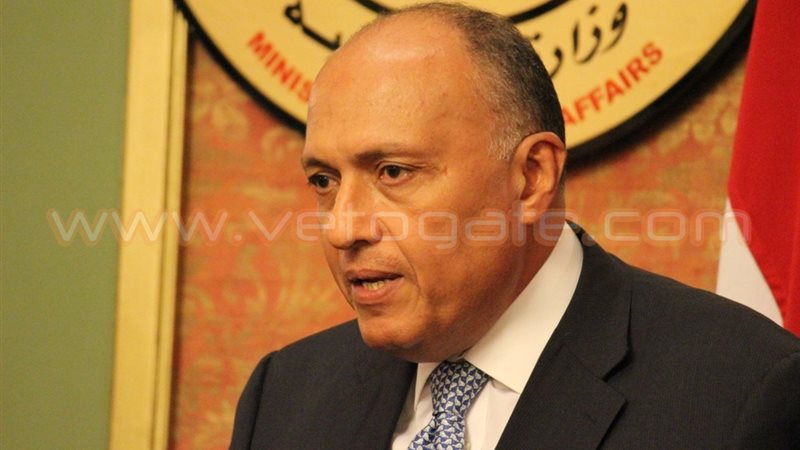 سامح شكري وزير الخارجية