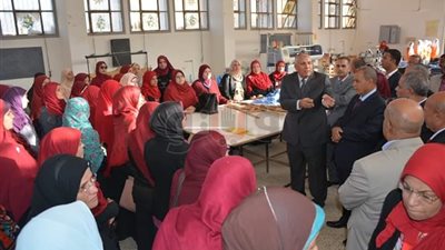 ربط مدارس التعليم الفنى بسوق العمل في الوادى الجديد (صور)