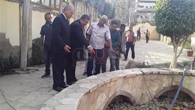 شجرة مريم | طلاء واجهة العقارات المحيطة بشجرة مريم في المطرية (صور)