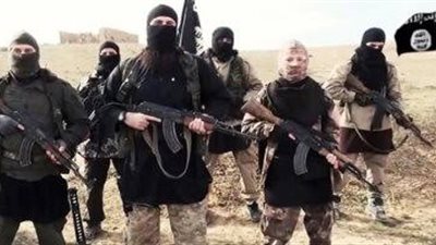 داعش يعلن مسئوليته عن تحطم طائرتين فرنسيتين في مالي