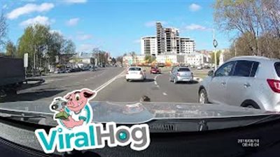 رد فعل سائق تجول فأر على مقدمة سيارته أثناء سيرها (فيديو)