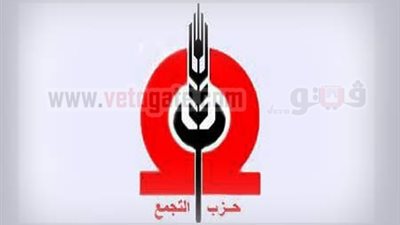 التجمع يحمل مرسى مسئولية سيطرة حماس على سيناء