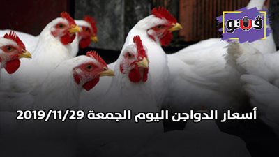 اسعار الدواجن اليوم الجمعة 2019/11/29