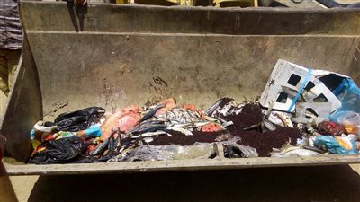 إعدام خروف و435 كيلو سلع غذائية فاسدة بالشرقية (صور)