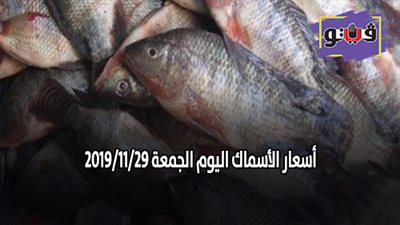 اسعار الأسماك اليوم الجمعة 2019/11/29