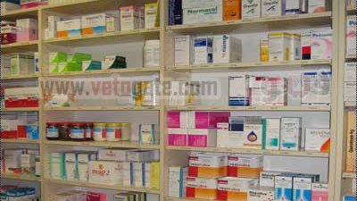 7.5 مليون جنيه تغطية اكتتاب 