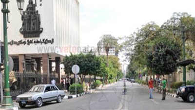 وقفة لعمال المقاولات المصرية اعتراضاً على تدني أجورهم