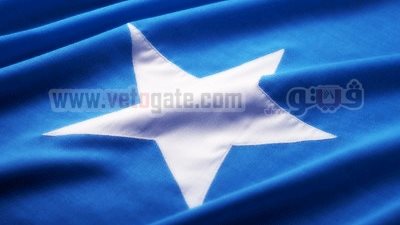 الاتحاد الأفريقي يطالب الحكومة الصومالية الجديدة بحماية الصحفيين