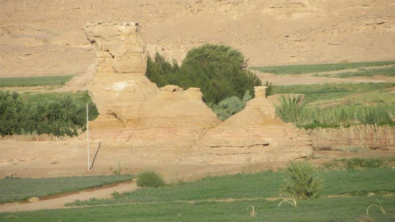 فيتو