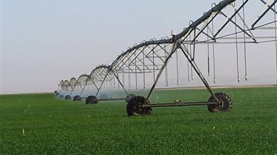 الوادى الجديد تنفذ مشروع الزراعة التعاقدية على مساحة 60 فدانا في بلاط