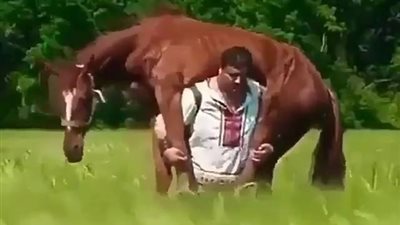 رجل يحمل حصانا ويسير به (فيديو وصور)