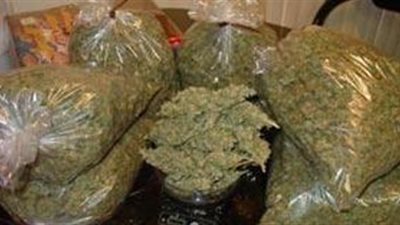 ضبط 20 كيلو بانجو و9 قطع حشيش في حملة أمنية بالمنيا