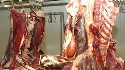 ضبط لحوم فاسدة داخل مطعم شهير بطنطا