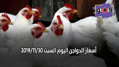 اسعار الدواجن اليوم السبت 2019/11/30
